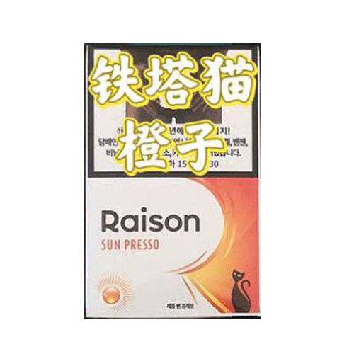 韩免铁塔猫橙子