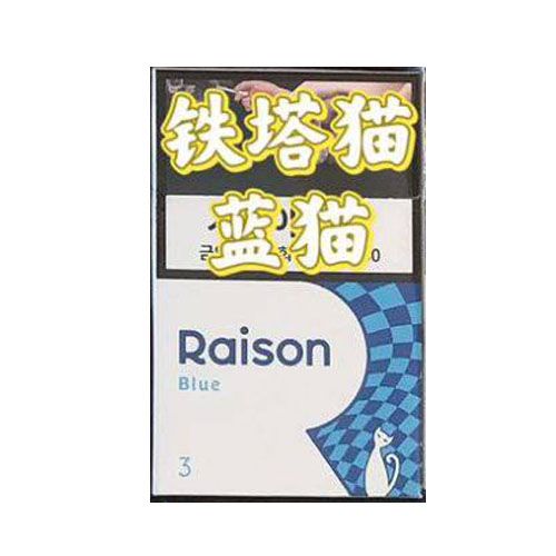 韩免铁塔猫蓝猫